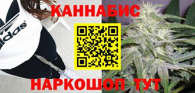 гашик Заводоуковск