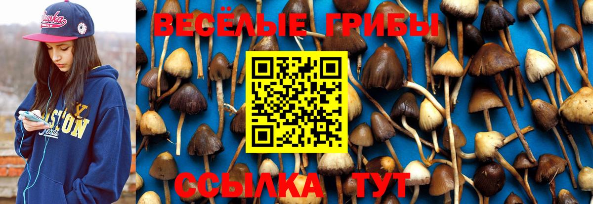 Галлюциногенные грибы мухоморы  Вход с VPN  Майский  Галлюциногенные грибы мицелий 